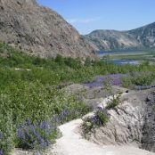 Mount St. Helens 07